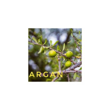 100% аргановое масло холодного отжима (Argan Oil Virgin)