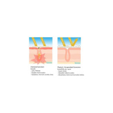 Kindness Freedom Invisible Water Fresh Солнцезащитный крем SPF50 + PA ++++