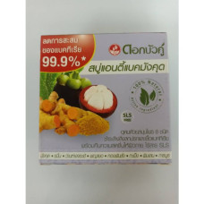 Мыло Antibac Mangosteen 85 г. Бренд Twin Lotus/Antibac Mangosteen soap 85 g. Brand Twin Lotus