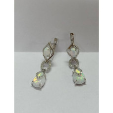 1 пара сережек для женщин/1 pair of earrings for women