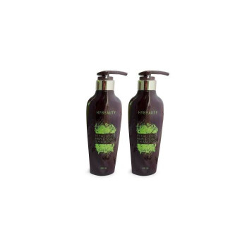 Шампунь Hylife Hybeauty Vitalizing Hair & Scalp 300 мл. (2 флакона)