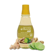 Ополаскиватель для полости рта с имбирем и лаймом 250 мл. Двойной лотос/Mouthwash ginger and lime 250 ml. Twin Lotus