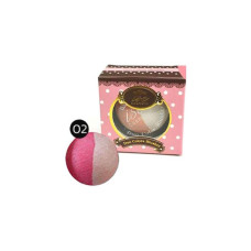 ISE DUO COLORS BLUSHER IS0101 # 02 ISE DUO COLORS BLUSHER