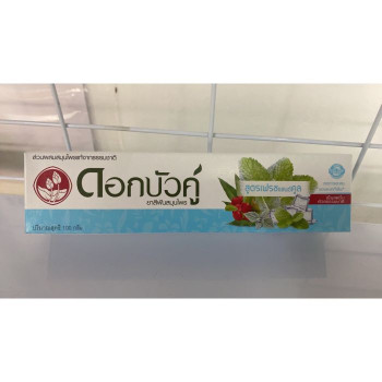 Twin Lotus Toothpaste Herbal Fresh and Cool, смесь трав, свежесть и охлаждение, 100г./Twin Lotus Herbal Fresh & Cool toothpaste with herbs freshness and coolness100g.