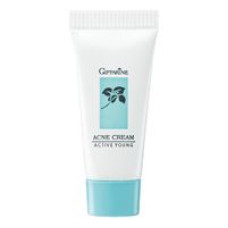 Крем от прыщей и акне ACTIVE YOUNG Giffarine 5 грамм / Giffarine ACTIVE YOUNG ACNE CREAM 5 gr